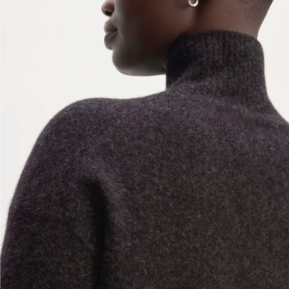 NWOT Everlane The Cozy Stretch Turtleneck Dress - large - Picture 7 of 9